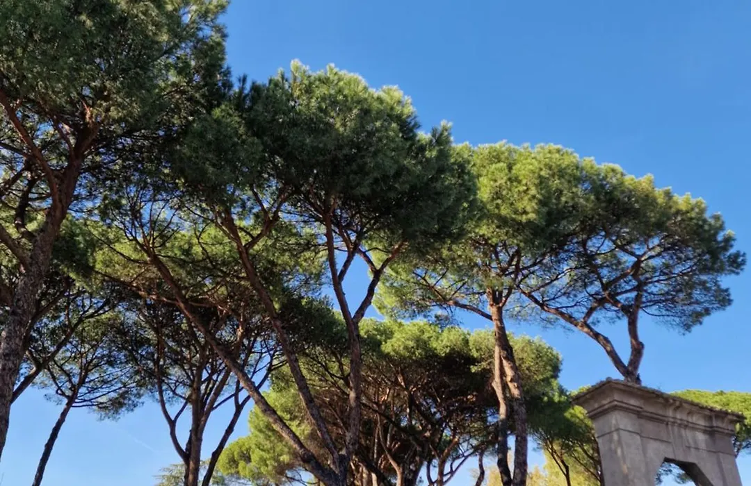 Vacanze Romane Apartments - Vatican City-1